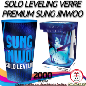 SOLO LEVELING VERRE PREMIUM SUNG JINWOO