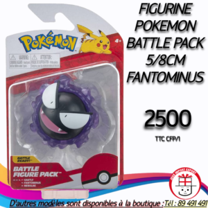 FIGURINE POKEMON BATTLE PACK 5/8CM