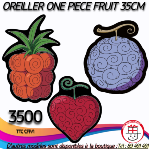 OREILLER ONE PIECE 35 CM